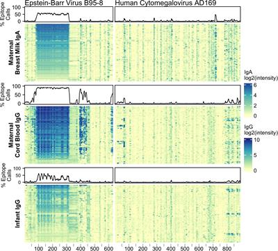 Assessing immune factors in maternal milk and paired infant plasma antibody binding to human rhinoviruses